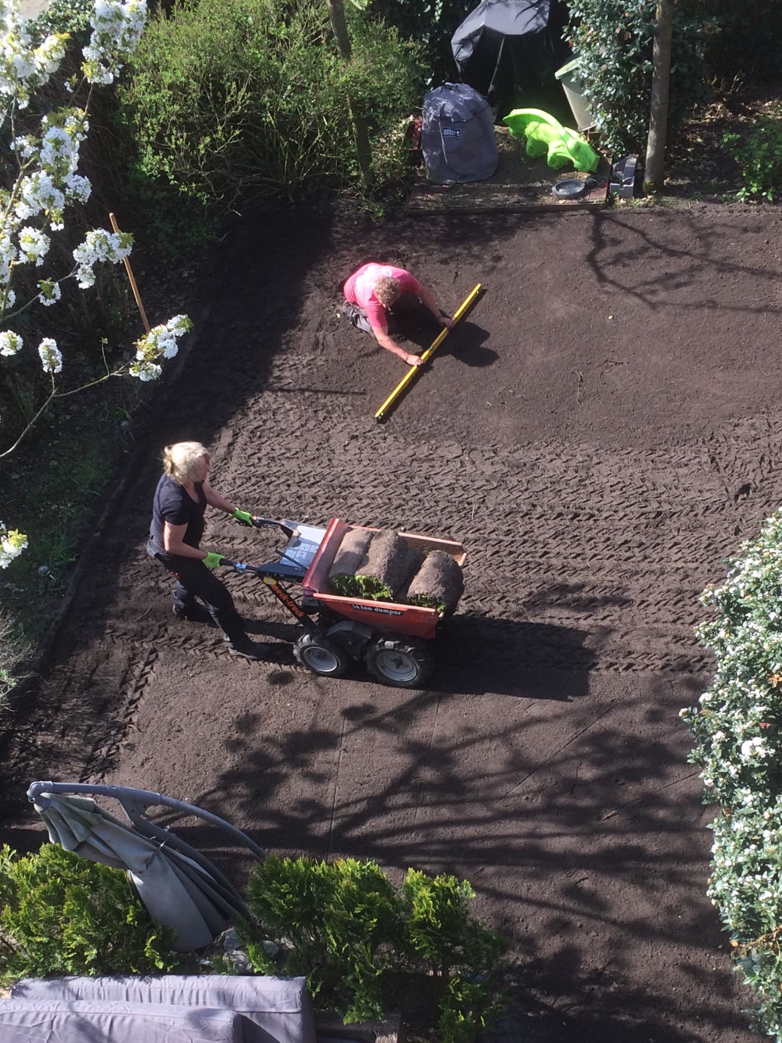 Graszoden leggen