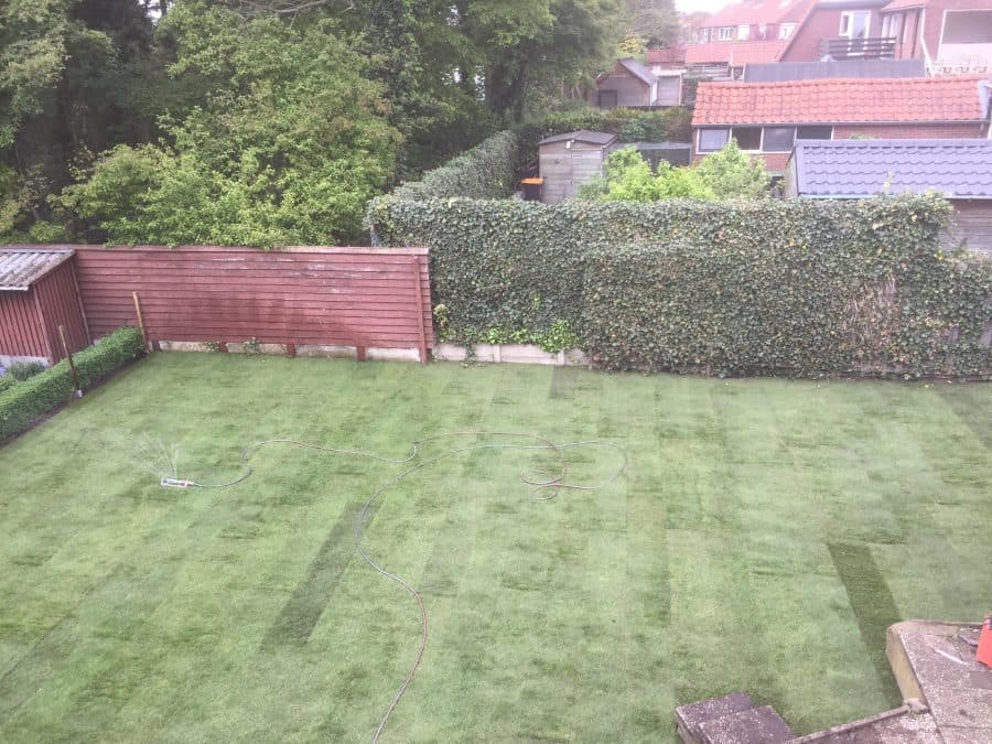 Vers aangelegd gazon door De Graskoning in Doetinchem